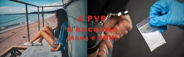 молекула духа Навашино